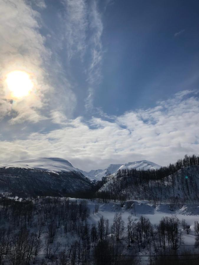 Hundbergan Apartment-Free Parking-15 Min From Tromso Tromsdalen Екстер'єр фото
